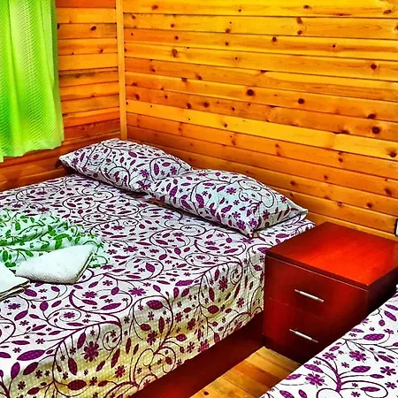 Tatilya * Olympos
