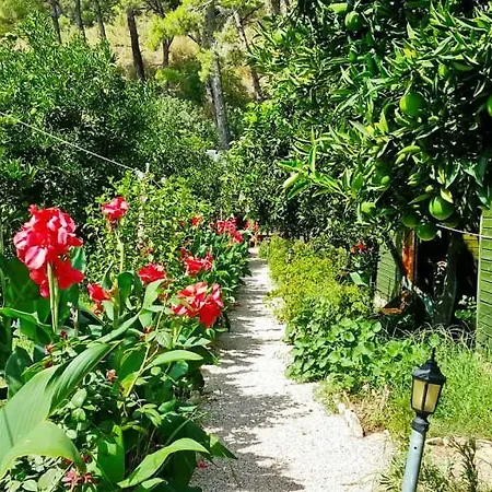 Tatilya Pensión Olympos
